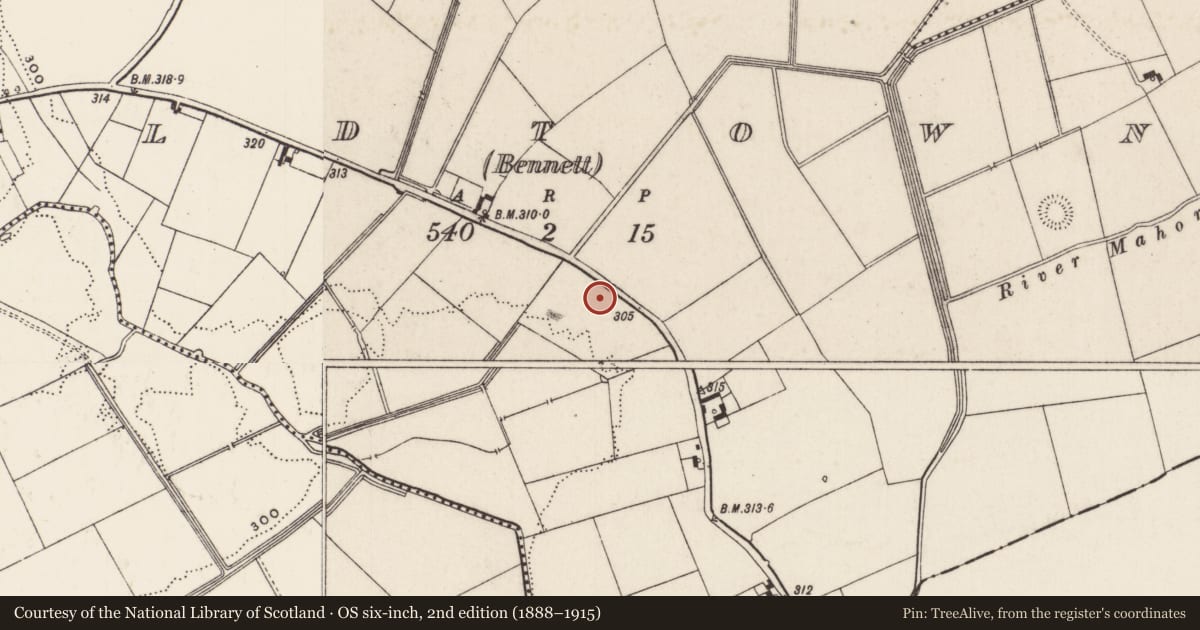 Ordnance Survey six-inch map, 2nd edition (1888–1915) covering the location of Moated site, Oldtown (Bennett), County Limerick, with a pin at the register's coordinates