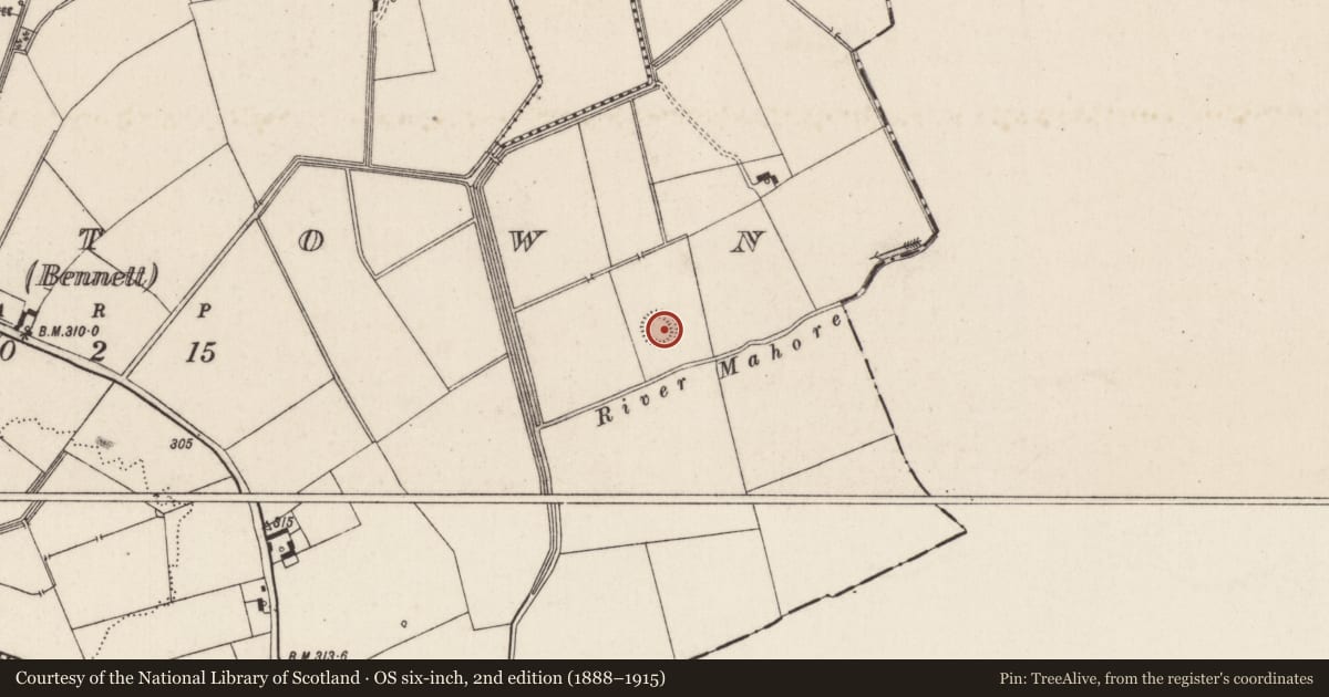 Ordnance Survey six-inch map, 2nd edition (1888–1915) covering the location of Barrow - unclassified, Oldtown (Bennett), County Limerick, with a pin at the register's coordinates