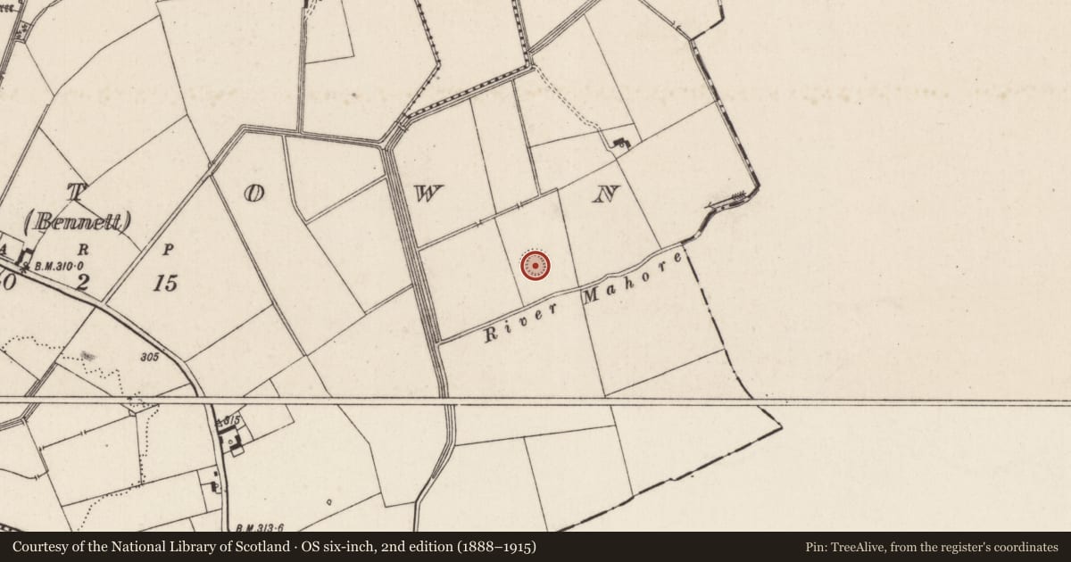Ordnance Survey six-inch map, 2nd edition (1888–1915) covering the location of Barrow - ring-barrow, Oldtown (Bennett), County Limerick, with a pin at the register's coordinates