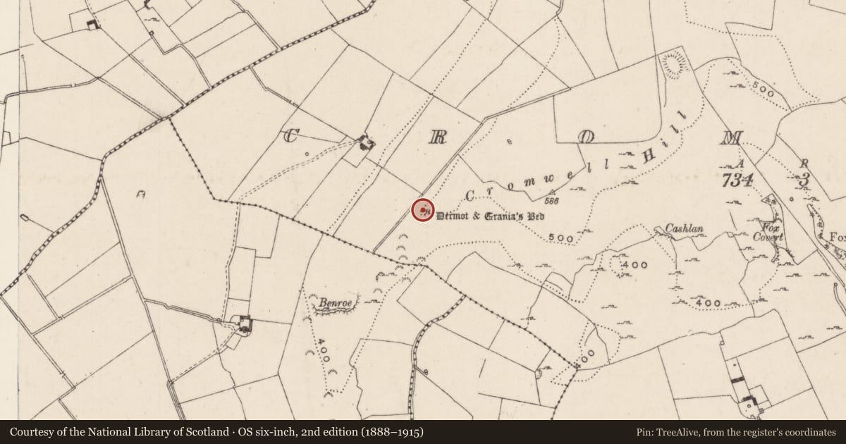 Ordnance Survey six-inch map, 2nd edition (1888–1915) covering the location of Megalithic tomb - wedge tomb, Cromwell, County Limerick, with a pin at the register's coordinates