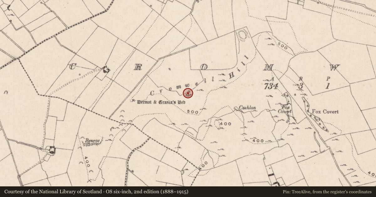Ordnance Survey six-inch map, 2nd edition (1888–1915) covering the location of Burial mound, Cromwell, County Limerick, with a pin at the register's coordinates