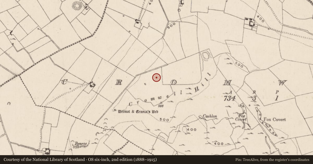 Ordnance Survey six-inch map, 2nd edition (1888–1915) covering the location of Barrow - ring-barrow, Cromwell, County Limerick, with a pin at the register's coordinates
