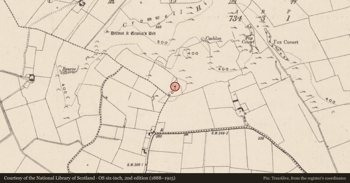 Ordnance Survey six-inch map, 2nd edition (1888–1915) covering the location of Ringfort - cashel, Cromwell, County Limerick, with a pin at the register's coordinates