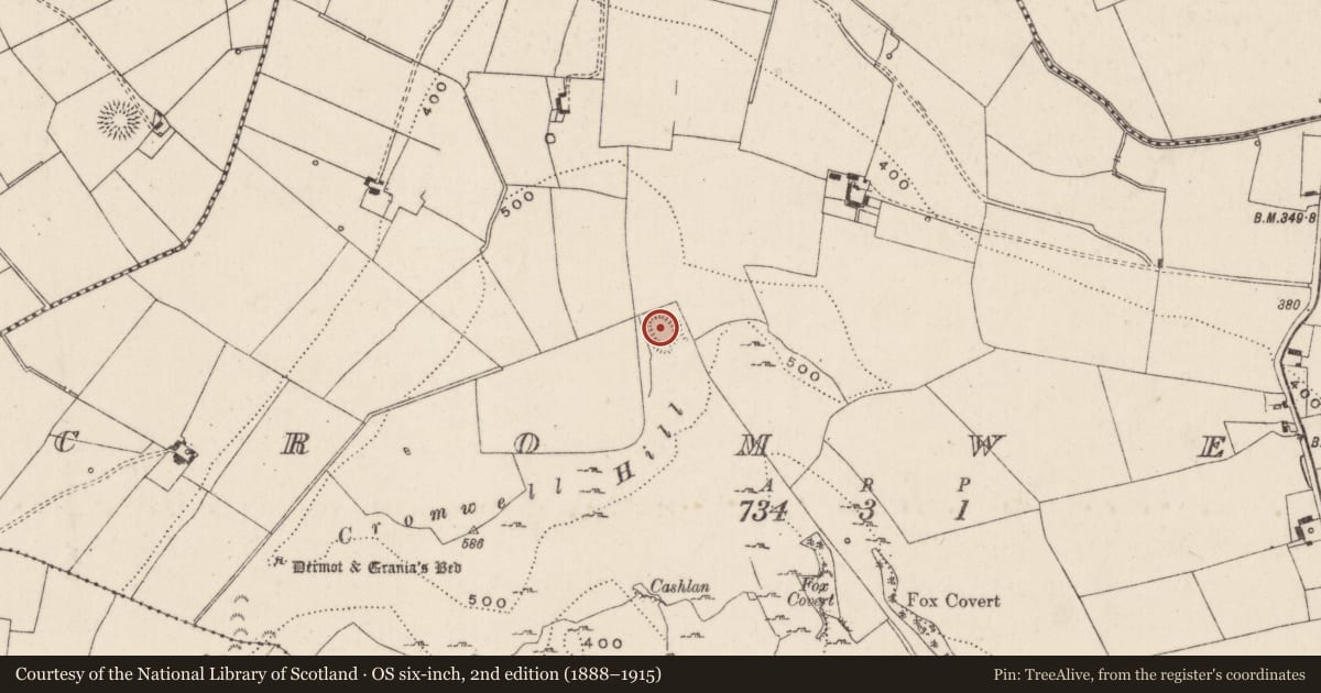 Ordnance Survey six-inch map, 2nd edition (1888–1915) covering the location of Ringfort - rath, Cromwell, County Limerick, with a pin at the register's coordinates