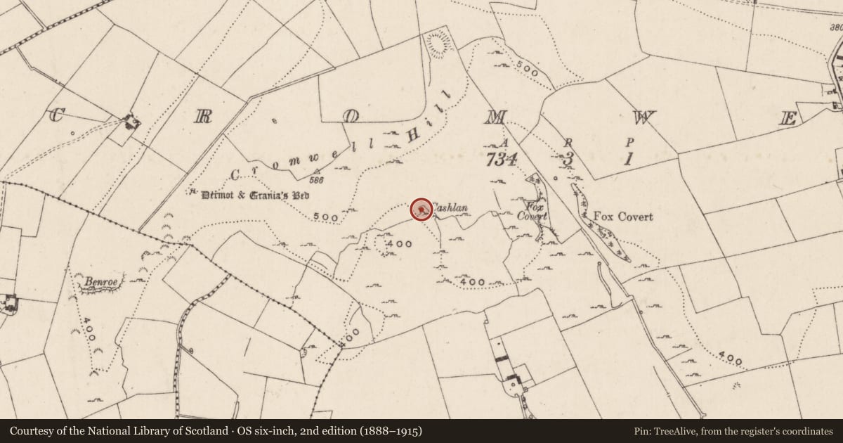 Ordnance Survey six-inch map, 2nd edition (1888–1915) covering the location of Castle - unclassified, Cromwell, County Limerick, with a pin at the register's coordinates