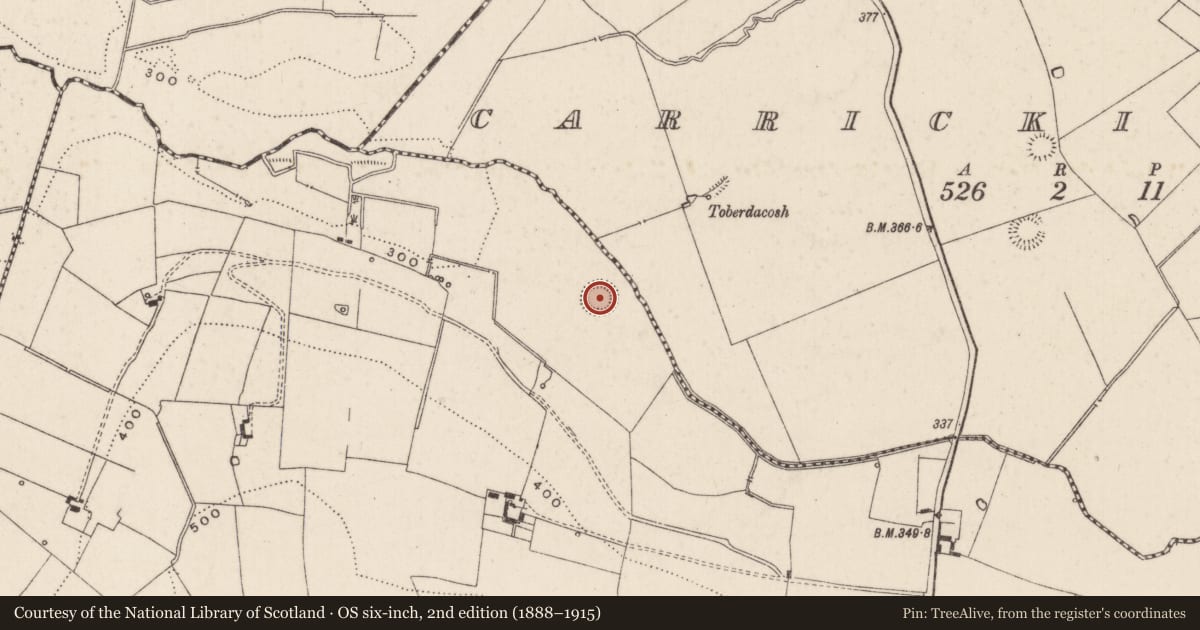 Ordnance Survey six-inch map, 2nd edition (1888–1915) covering the location of Enclosure, Cromwell, County Limerick, with a pin at the register's coordinates