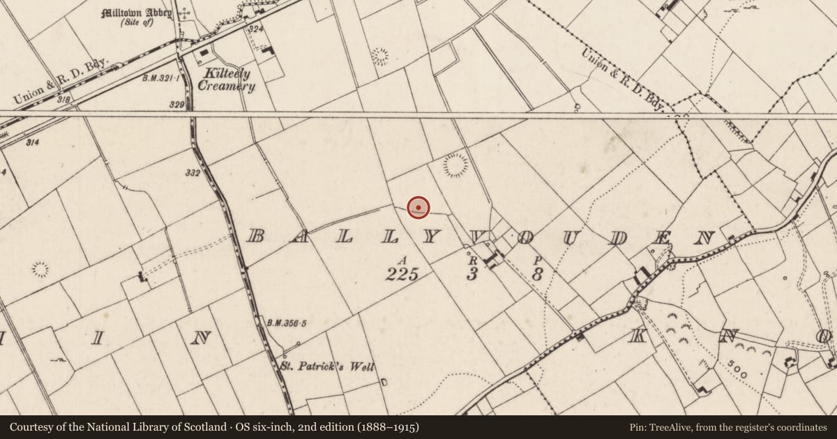 Ordnance Survey six-inch map, 2nd edition (1888–1915) covering the location of Enclosure, Ballyvouden, County Limerick, with a pin at the register's coordinates