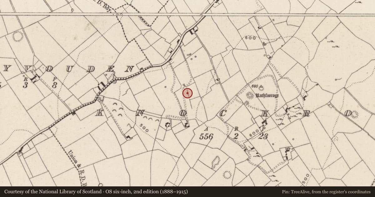 Ordnance Survey six-inch map, 2nd edition (1888–1915) covering the location of Enclosure, Knockroe, County Limerick, with a pin at the register's coordinates