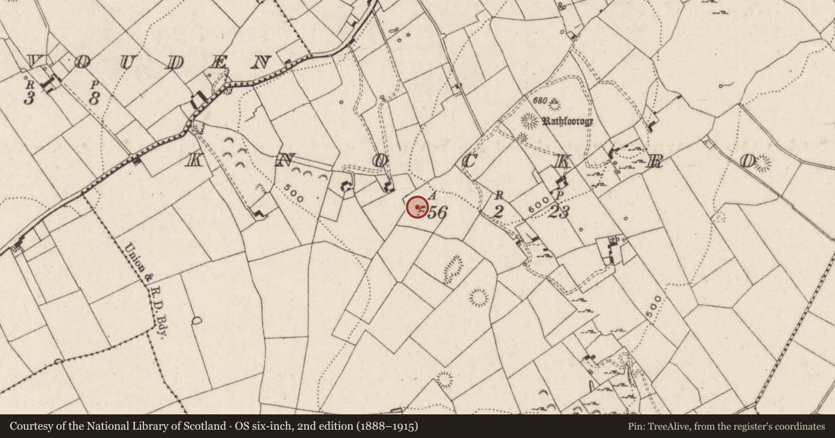 Ordnance Survey six-inch map, 2nd edition (1888–1915) covering the location of Enclosure, Knockroe, County Limerick, with a pin at the register's coordinates
