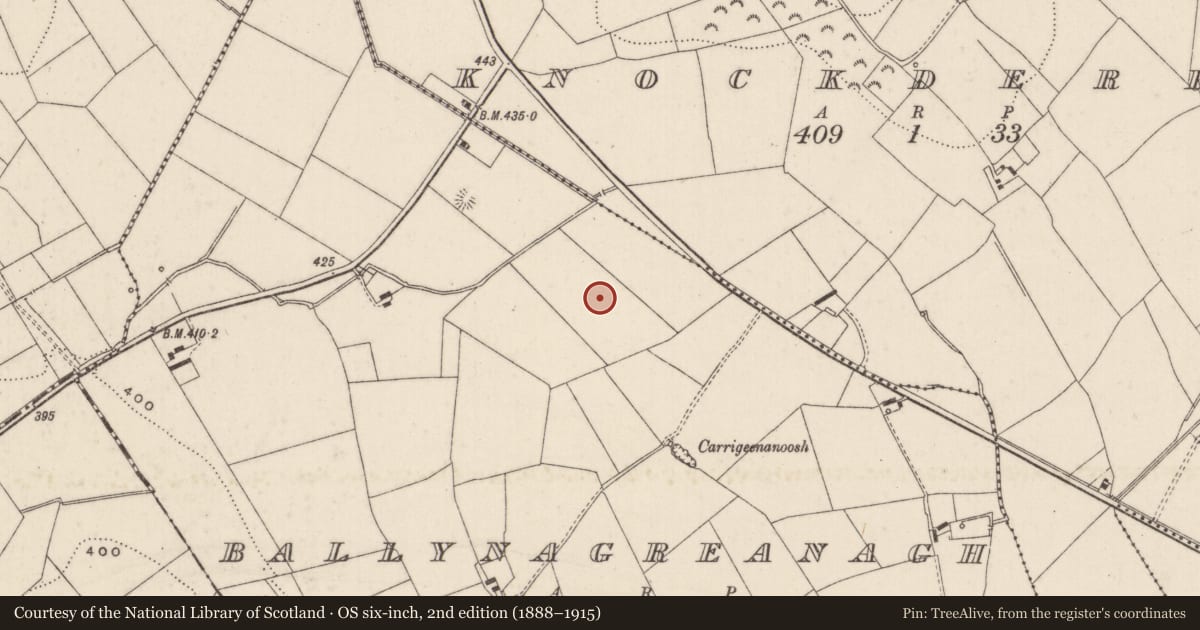 Ordnance Survey six-inch map, 2nd edition (1888–1915) covering the location of Field system, Ballynagreanagh, County Limerick, with a pin at the register's coordinates