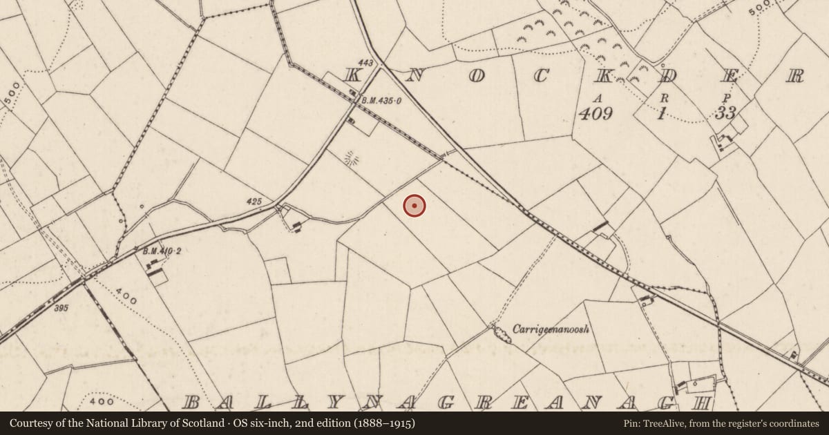 Ordnance Survey six-inch map, 2nd edition (1888–1915) covering the location of Barrow - unclassified, Ballynagreanagh, County Limerick, with a pin at the register's coordinates