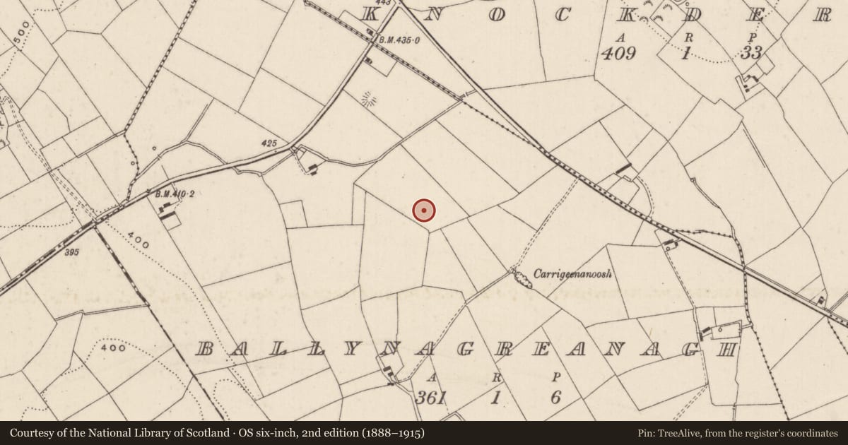 Ordnance Survey six-inch map, 2nd edition (1888–1915) covering the location of Barrow - ditch barrow, Ballynagreanagh, County Limerick, with a pin at the register's coordinates