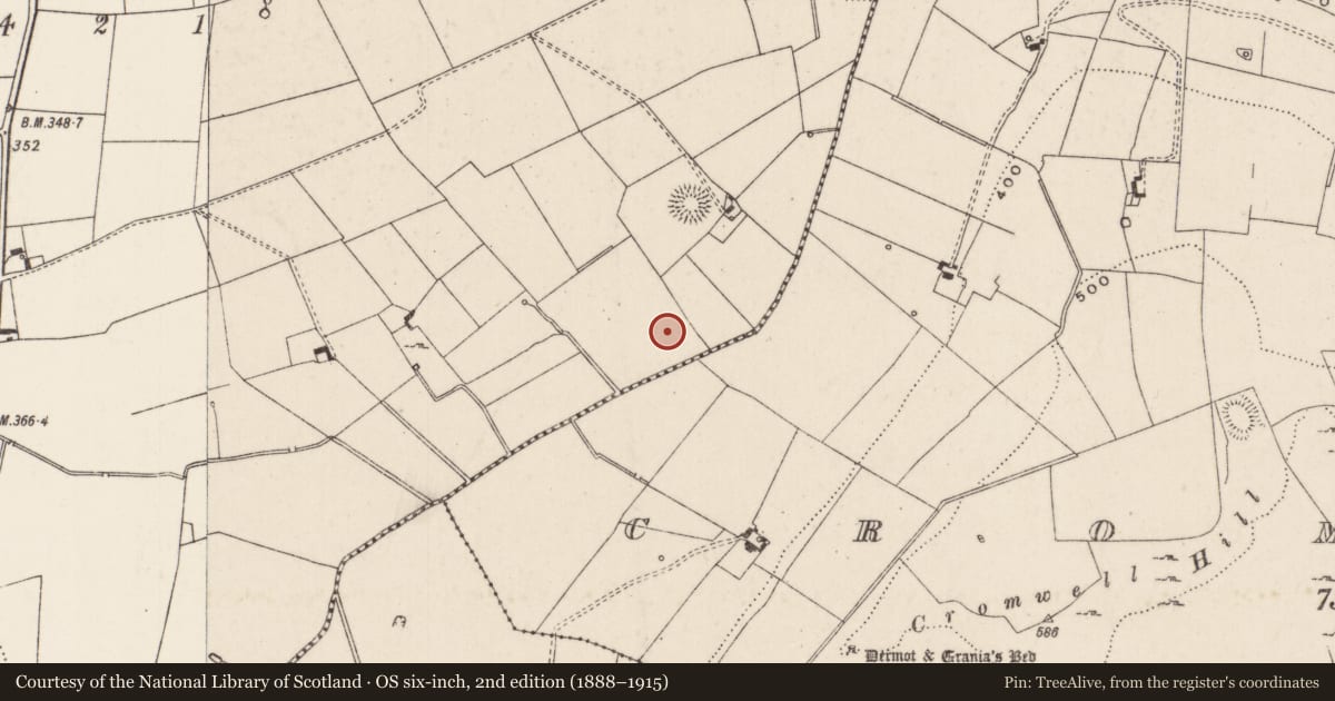 Ordnance Survey six-inch map, 2nd edition (1888–1915) covering the location of Barrow - ditch barrow, Ballinlough, County Limerick, with a pin at the register's coordinates