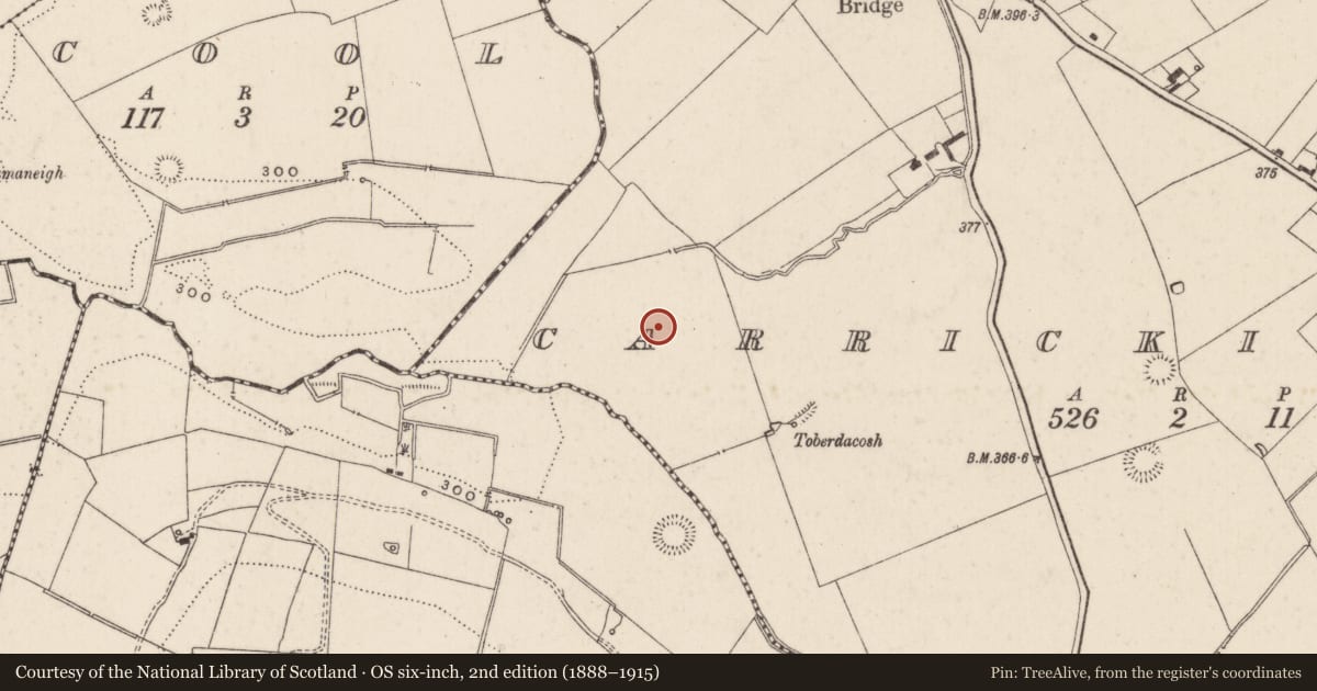 Ordnance Survey six-inch map, 2nd edition (1888–1915) covering the location of Ring-ditch, Carrickittle, County Limerick, with a pin at the register's coordinates