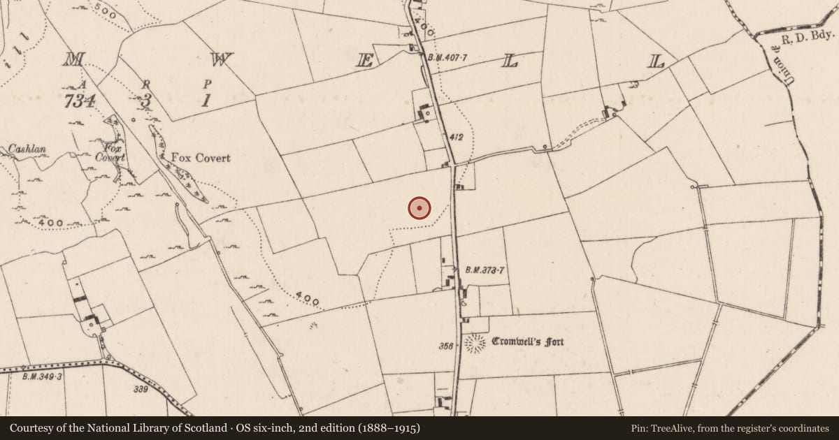 Ordnance Survey six-inch map, 2nd edition (1888–1915) covering the location of Enclosure, Cromwell, County Limerick, with a pin at the register's coordinates