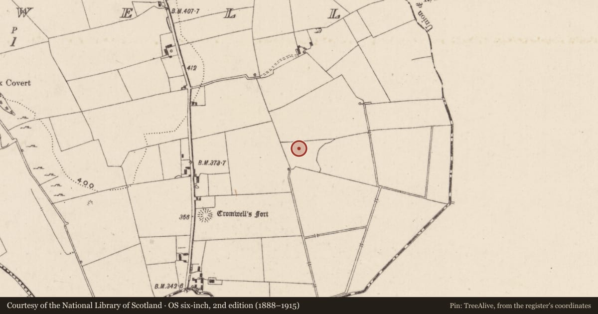 Ordnance Survey six-inch map, 2nd edition (1888–1915) covering the location of Enclosure, Cromwell, County Limerick, with a pin at the register's coordinates