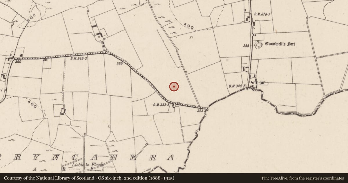 Ordnance Survey six-inch map, 2nd edition (1888–1915) covering the location of Barrow - unclassified, Cromwell, County Limerick, with a pin at the register's coordinates