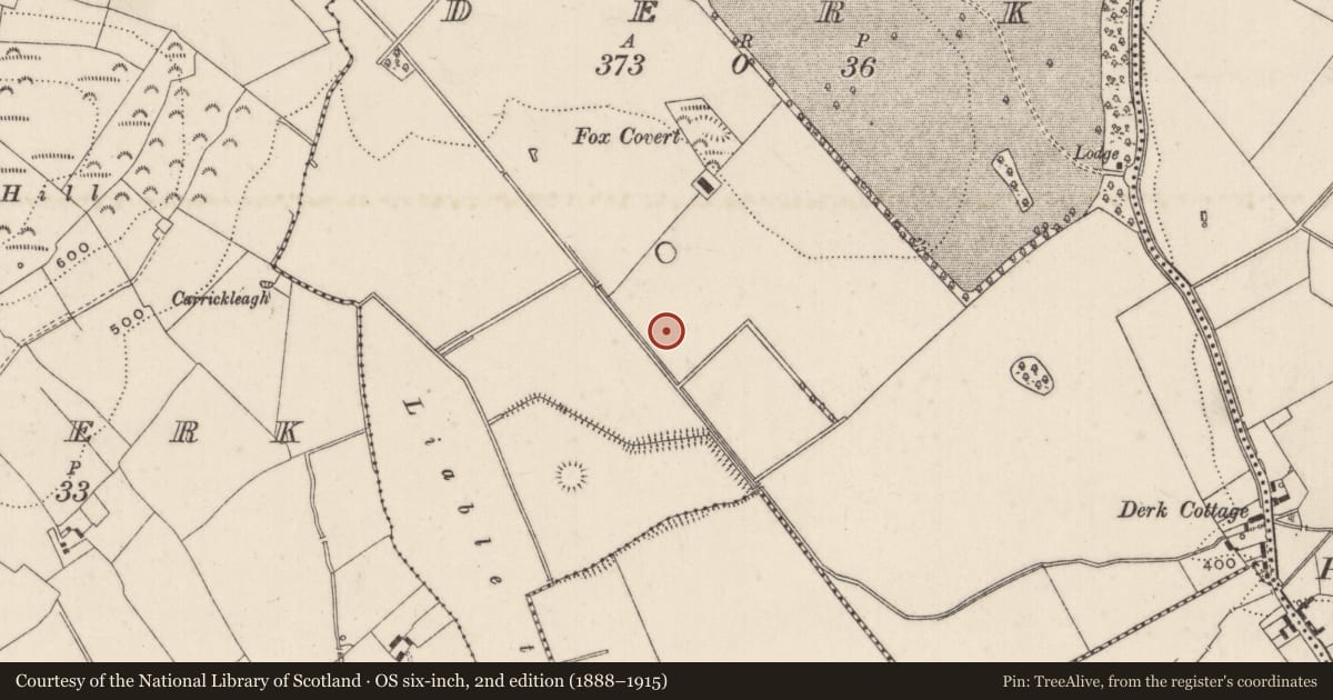 Ordnance Survey six-inch map, 2nd edition (1888–1915) covering the location of Field system, Derk, County Limerick, with a pin at the register's coordinates