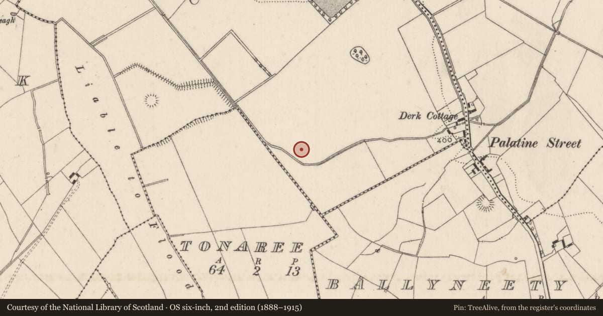 Ordnance Survey six-inch map, 2nd edition (1888–1915) covering the location of Earthwork, Derk, County Limerick, with a pin at the register's coordinates