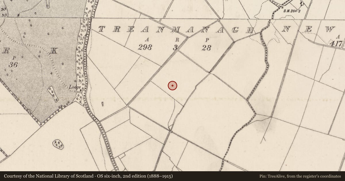 Ordnance Survey six-inch map, 2nd edition (1888–1915) covering the location of Barrow - ditch barrow, Treanmanagh, County Limerick, with a pin at the register's coordinates
