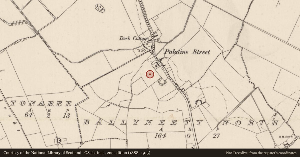 Ordnance Survey six-inch map, 2nd edition (1888–1915) covering the location of Earthwork, Ballyneety North, County Limerick, with a pin at the register's coordinates