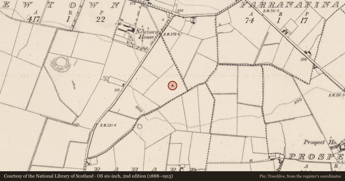 Ordnance Survey six-inch map, 2nd edition (1888–1915) covering the location of Linear earthwork, Newtown, County Limerick, with a pin at the register's coordinates