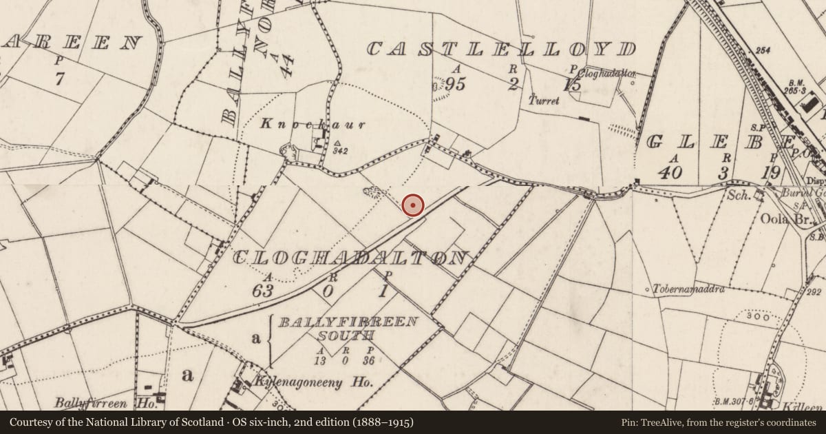 Ordnance Survey six-inch map, 2nd edition (1888–1915) covering the location of Enclosure, Cloghadalton, County Limerick, with a pin at the register's coordinates