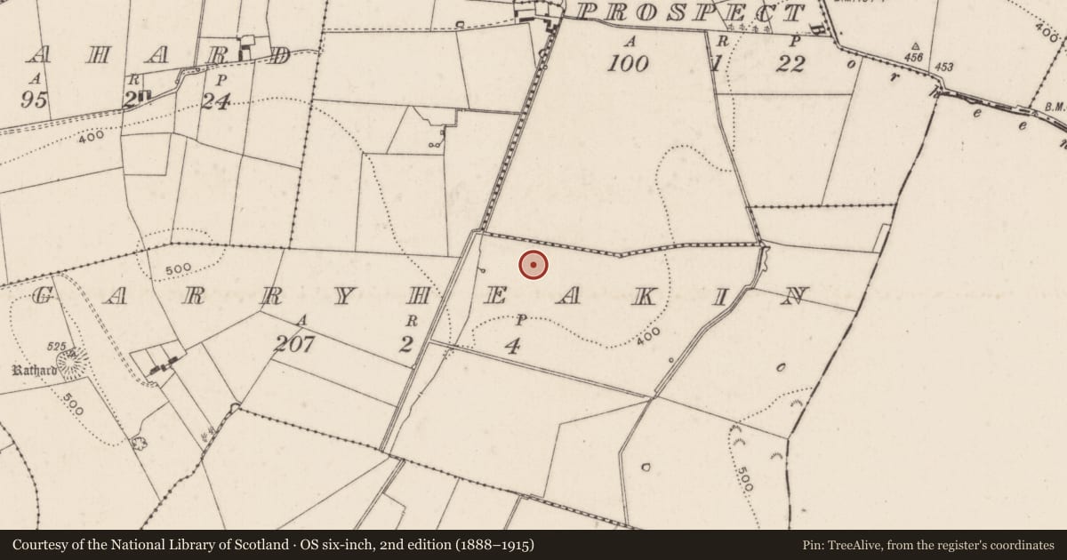 Ordnance Survey six-inch map, 2nd edition (1888–1915) covering the location of Enclosure, Garryheakin, County Limerick, with a pin at the register's coordinates