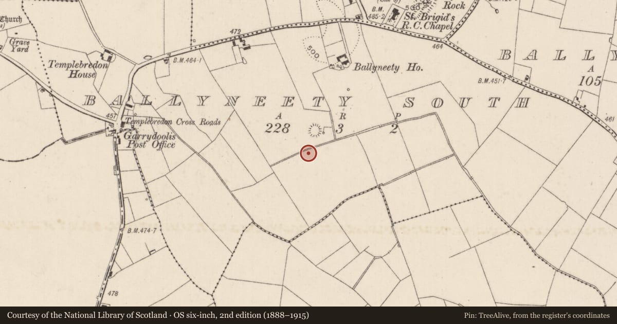Ordnance Survey six-inch map, 2nd edition (1888–1915) covering the location of Barrow - unclassified, Ballyneety South, County Limerick, with a pin at the register's coordinates