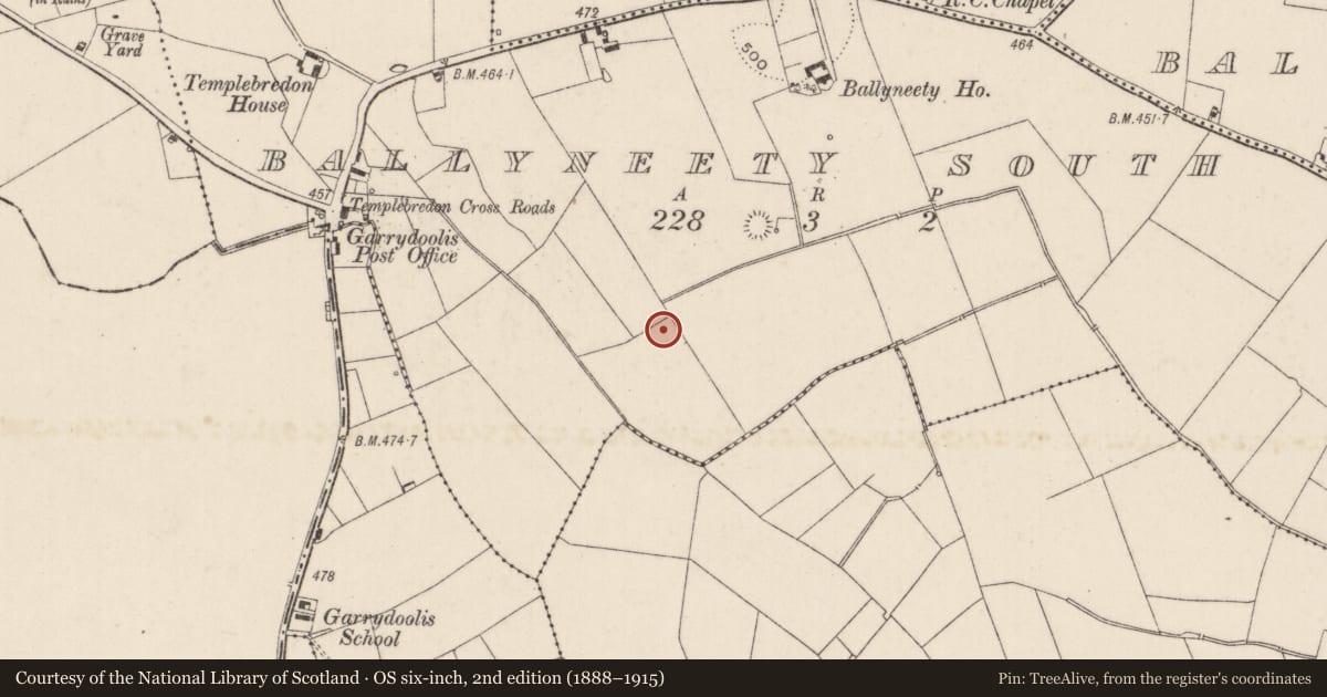 Ordnance Survey six-inch map, 2nd edition (1888–1915) covering the location of Barrow - ditch barrow, Ballyneety South, County Limerick, with a pin at the register's coordinates