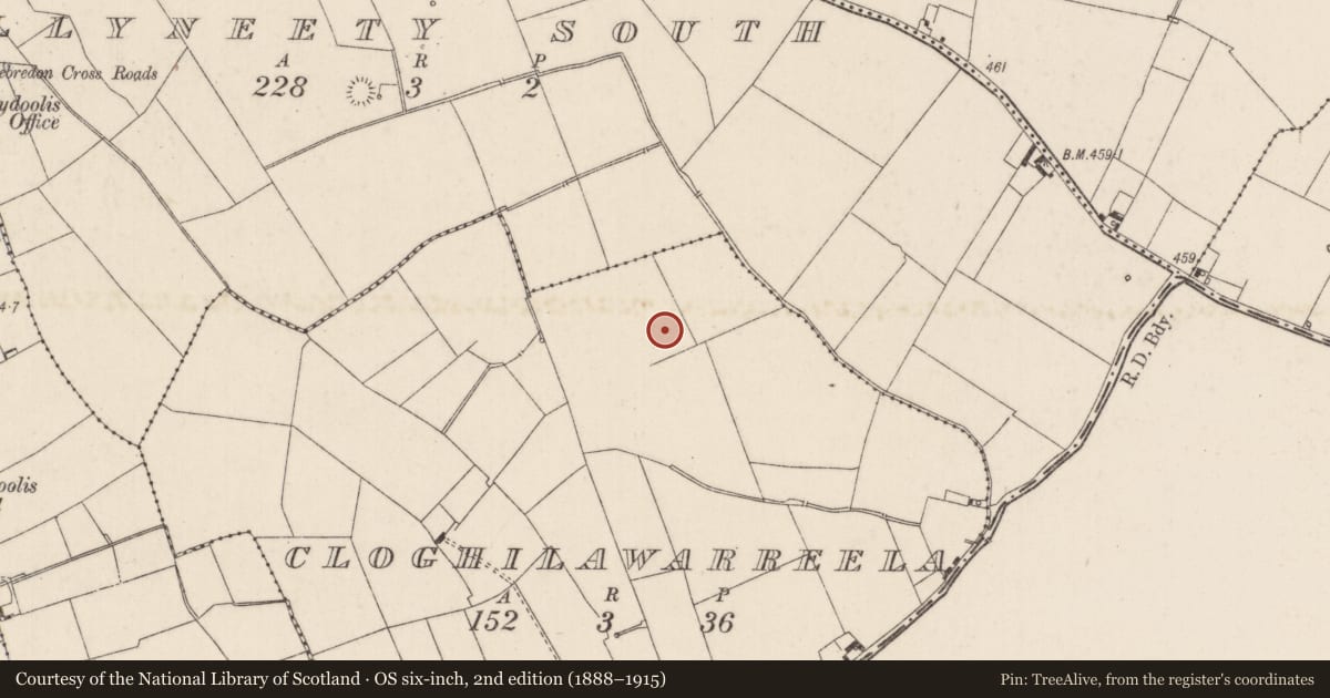 Ordnance Survey six-inch map, 2nd edition (1888–1915) covering the location of Barrow - ditch barrow, Cloghilawarreela, County Limerick, with a pin at the register's coordinates