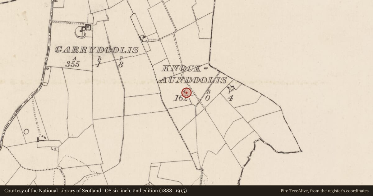 Ordnance Survey six-inch map, 2nd edition (1888–1915) covering the location of Barrow - unclassified, Knockaundoolis, County Limerick, with a pin at the register's coordinates