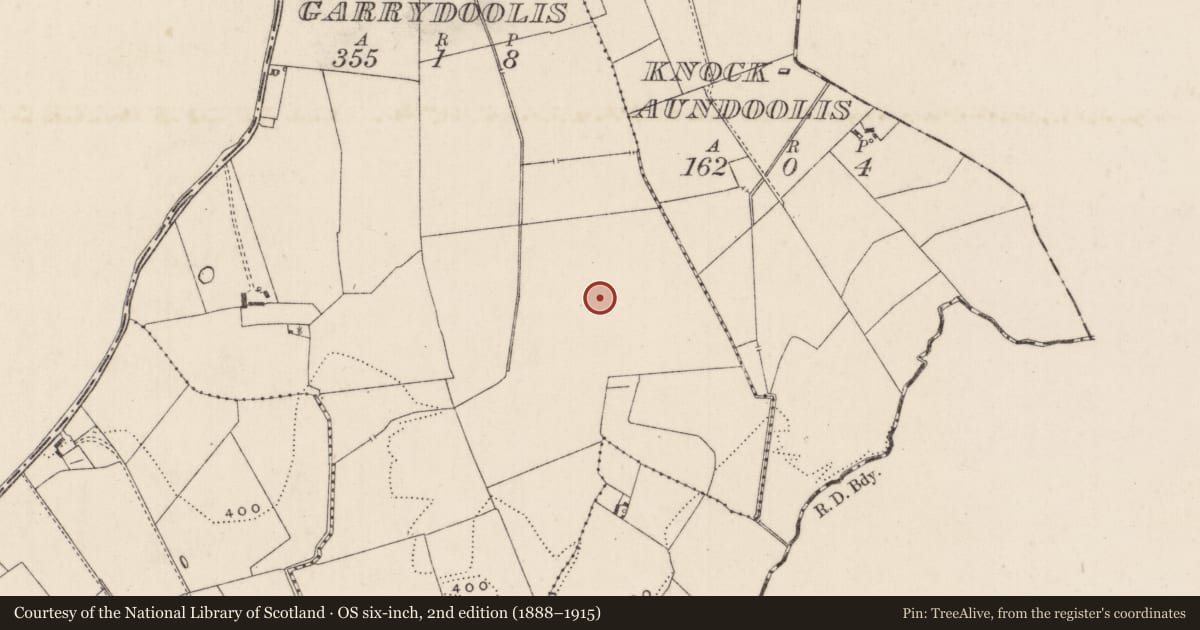 Ordnance Survey six-inch map, 2nd edition (1888–1915) covering the location of Barrow - unclassified, Garrydoolis, County Limerick, with a pin at the register's coordinates