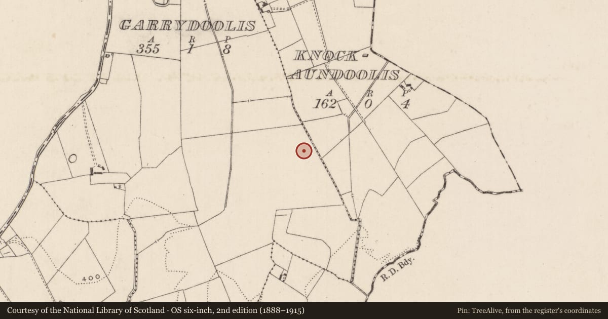 Ordnance Survey six-inch map, 2nd edition (1888–1915) covering the location of Barrow - unclassified, Garrydoolis, County Limerick, with a pin at the register's coordinates