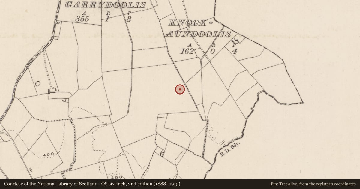 Ordnance Survey six-inch map, 2nd edition (1888–1915) covering the location of Earthwork, Garrydoolis, County Limerick, with a pin at the register's coordinates