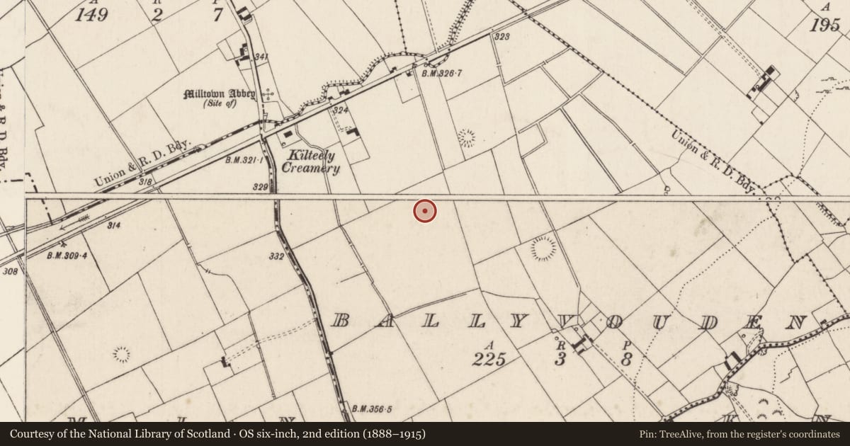 Ordnance Survey six-inch map, 2nd edition (1888–1915) covering the location of Barrow - unclassified, Ballyvouden, County Limerick, with a pin at the register's coordinates