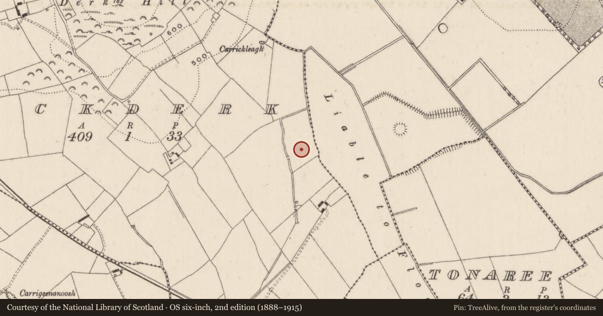 Ordnance Survey six-inch map, 2nd edition (1888–1915) covering the location of Barrow - unclassified, Knockderk, County Limerick, with a pin at the register's coordinates