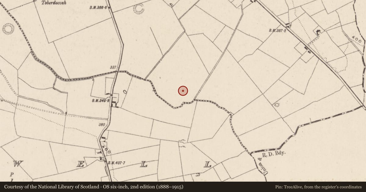 Ordnance Survey six-inch map, 2nd edition (1888–1915) covering the location of Barrow - unclassified, Carrickittle, County Limerick, with a pin at the register's coordinates