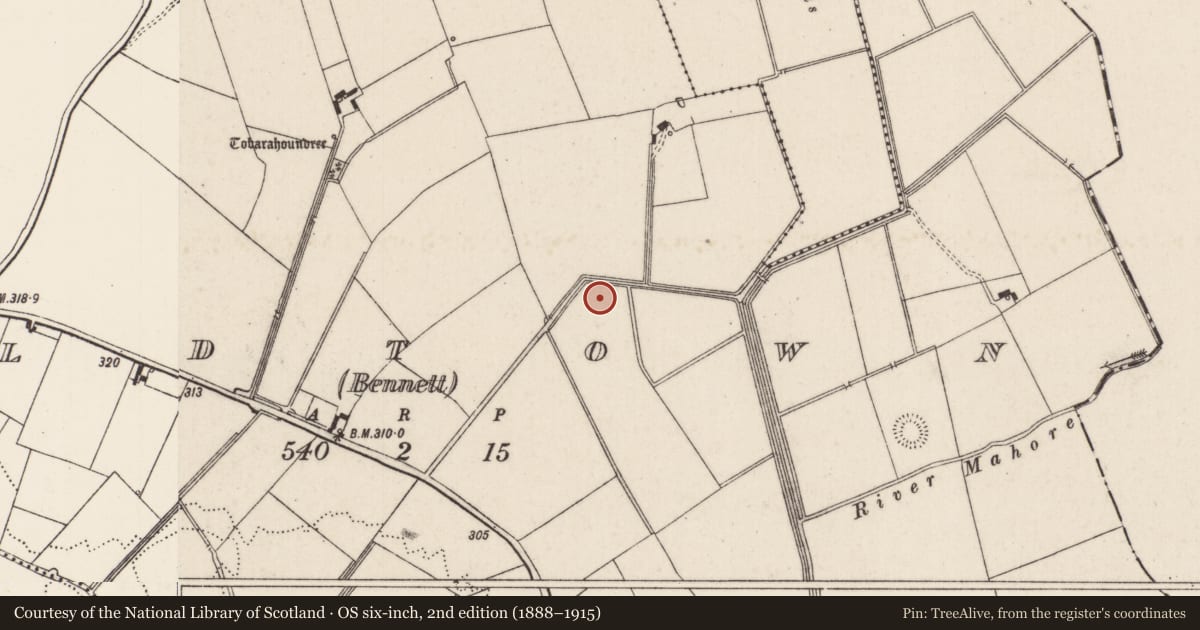 Ordnance Survey six-inch map, 2nd edition (1888–1915) covering the location of Enclosure, Oldtown (Bennett), County Limerick, with a pin at the register's coordinates