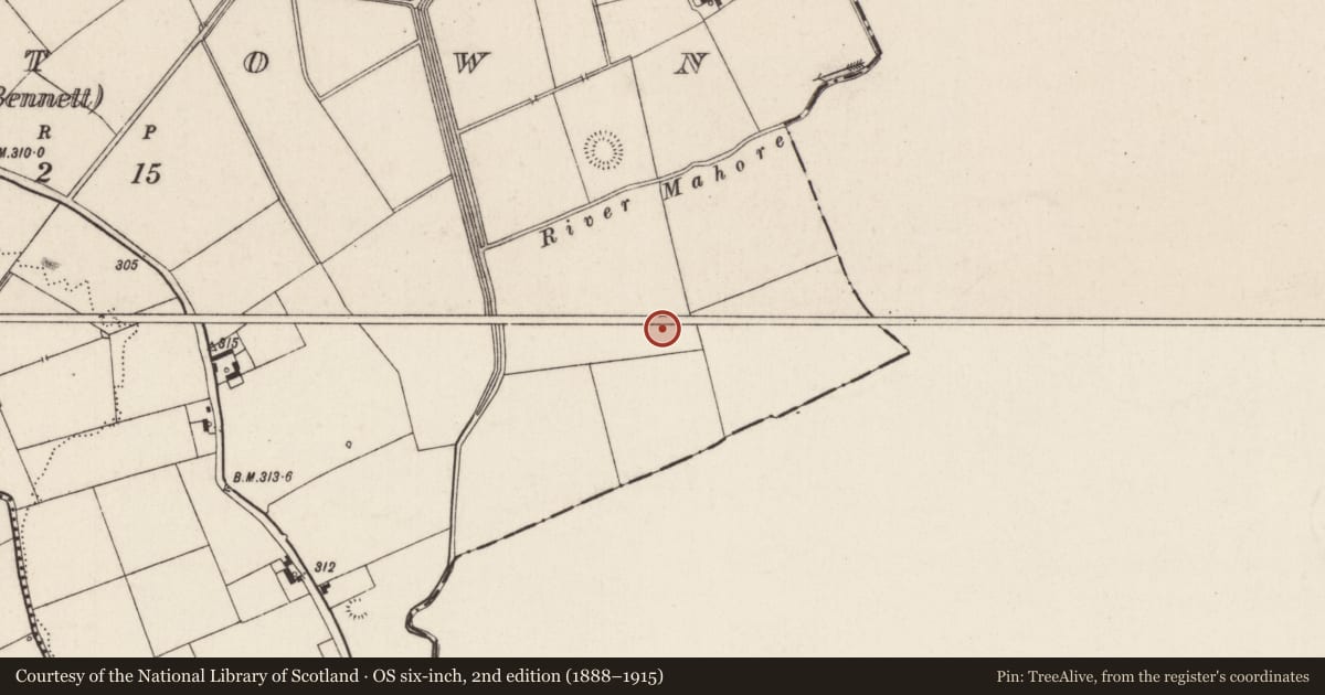 Ordnance Survey six-inch map, 2nd edition (1888–1915) covering the location of Enclosure, Oldtown (Bennett), County Limerick, with a pin at the register's coordinates