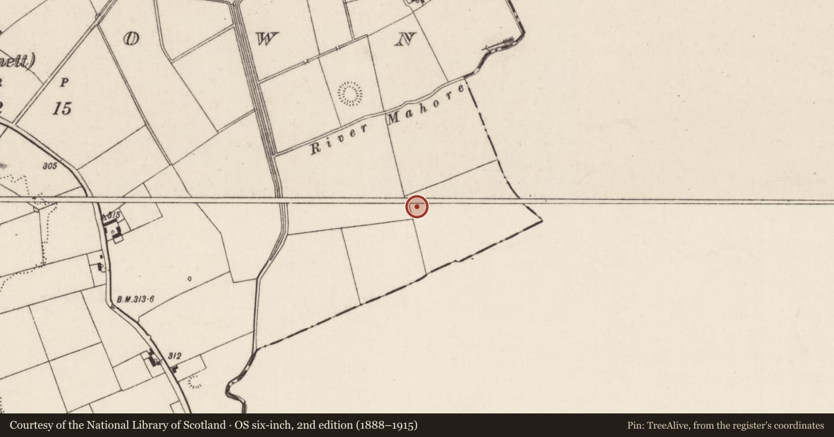 Ordnance Survey six-inch map, 2nd edition (1888–1915) covering the location of Barrow - ditch barrow, Oldtown (Bennett), County Limerick, with a pin at the register's coordinates