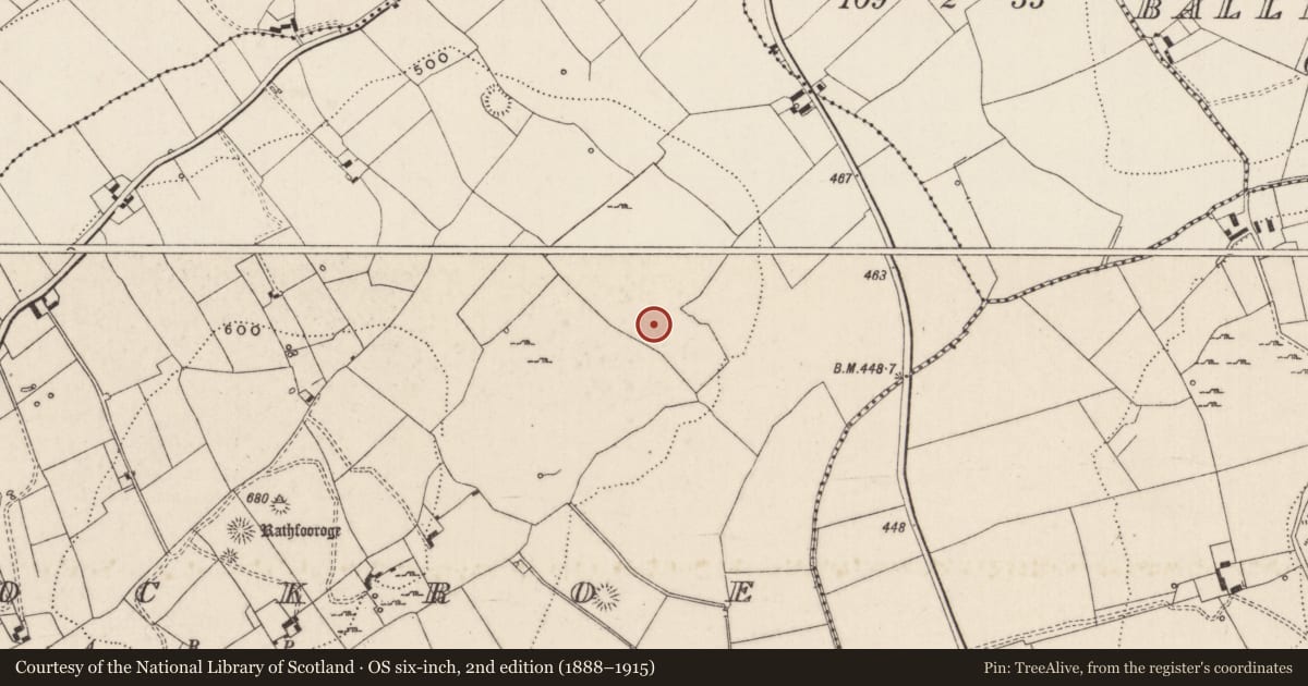 Ordnance Survey six-inch map, 2nd edition (1888–1915) covering the location of Barrow - ditch barrow, Knockroe, County Limerick, with a pin at the register's coordinates