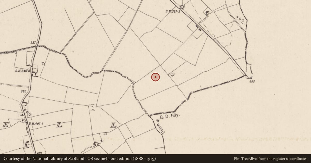 Ordnance Survey six-inch map, 2nd edition (1888–1915) covering the location of Enclosure, Carrickittle, County Limerick, with a pin at the register's coordinates
