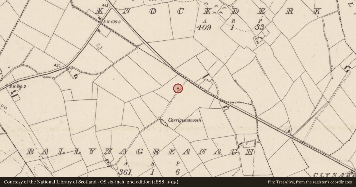 Ordnance Survey six-inch map, 2nd edition (1888–1915) covering the location of Earthwork, Ballynagreanagh, County Limerick, with a pin at the register's coordinates