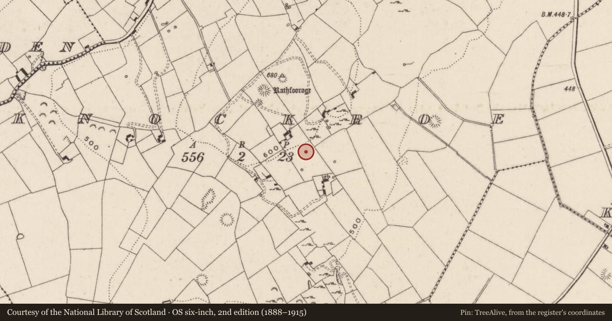 Ordnance Survey six-inch map, 2nd edition (1888–1915) covering the location of Standing stone, Knockroe, County Limerick, with a pin at the register's coordinates