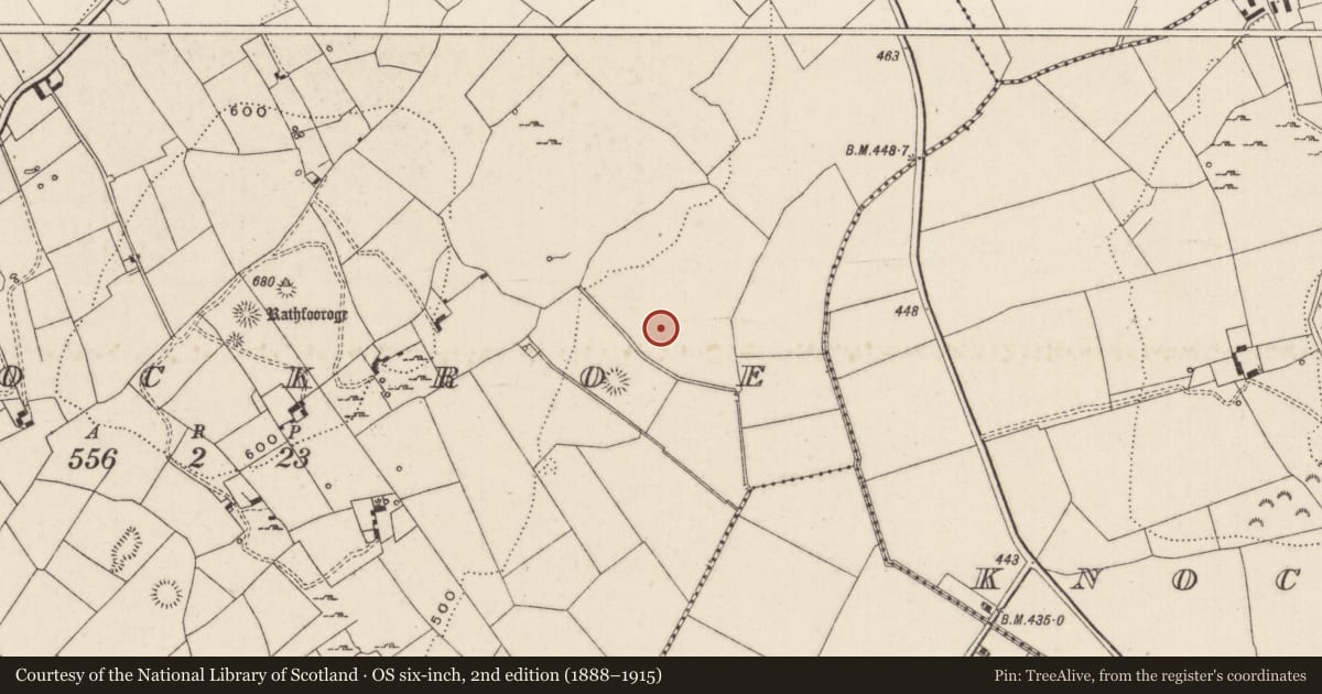 Ordnance Survey six-inch map, 2nd edition (1888–1915) covering the location of Enclosure, Knockroe, County Limerick, with a pin at the register's coordinates