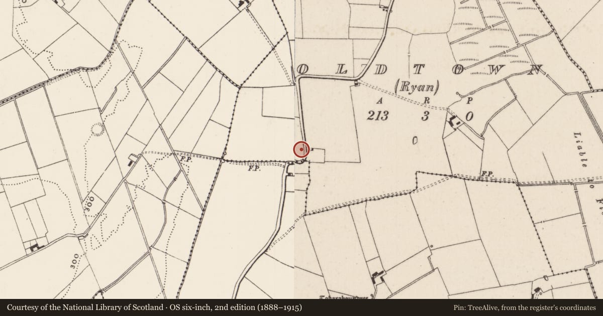 Ordnance Survey six-inch map, 2nd edition (1888–1915) covering the location of Standing stone, Oldtown (Ryan), County Limerick, with a pin at the register's coordinates