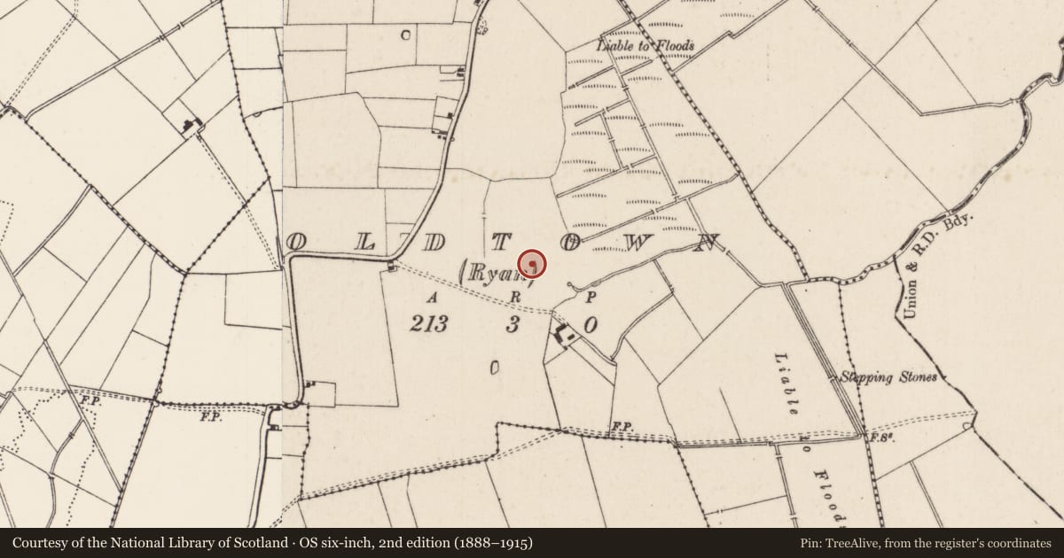 Ordnance Survey six-inch map, 2nd edition (1888–1915) covering the location of Standing stone, Oldtown (Ryan), County Limerick, with a pin at the register's coordinates