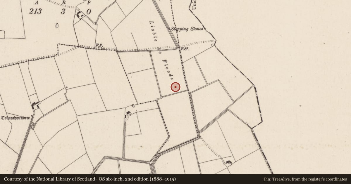 Ordnance Survey six-inch map, 2nd edition (1888–1915) covering the location of Enclosure, Oldtown (Ryan), County Limerick, with a pin at the register's coordinates