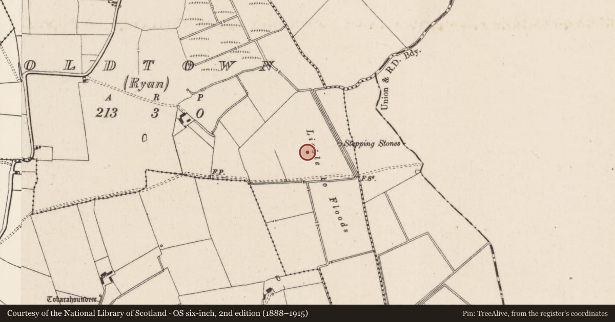 Ordnance Survey six-inch map, 2nd edition (1888–1915) covering the location of Barrow - ring-barrow, Oldtown (Ryan), County Limerick, with a pin at the register's coordinates